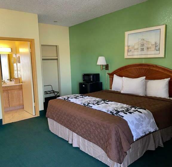 חדר סטנדרט עם מיטת קינג, Relax Inn Dilley