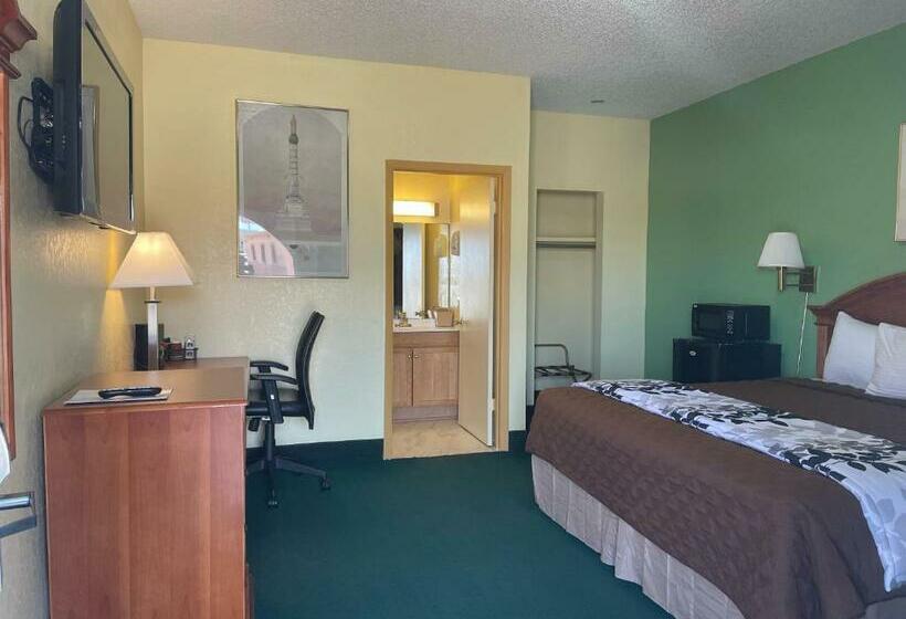 带大床的标准间, Relax Inn Dilley