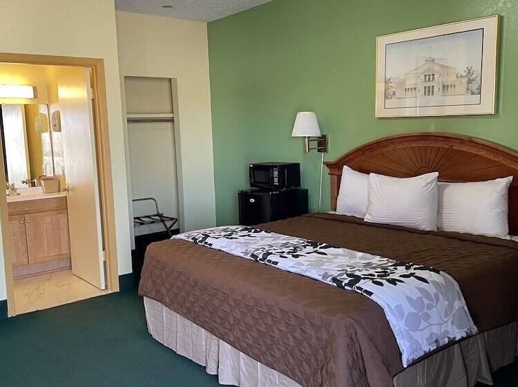 חדר סטנדרט יחיד, Relax Inn Dilley