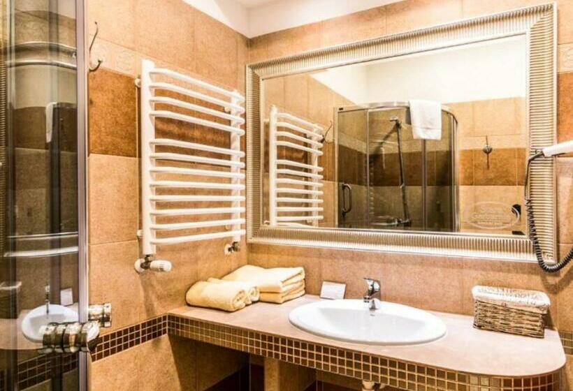 חדר סטנדרט יחיד, Stara Garbarnia