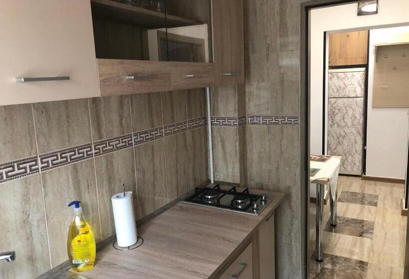 Standard Studio, Taco