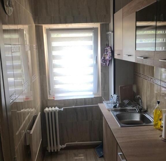 Standard Studio, Taco