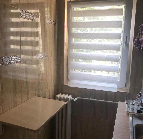 Standard Studio, Taco