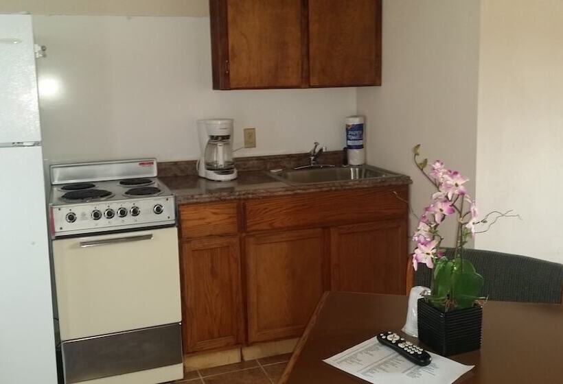 استودیوی استاندارد با تخت دوبل, The New Terrace