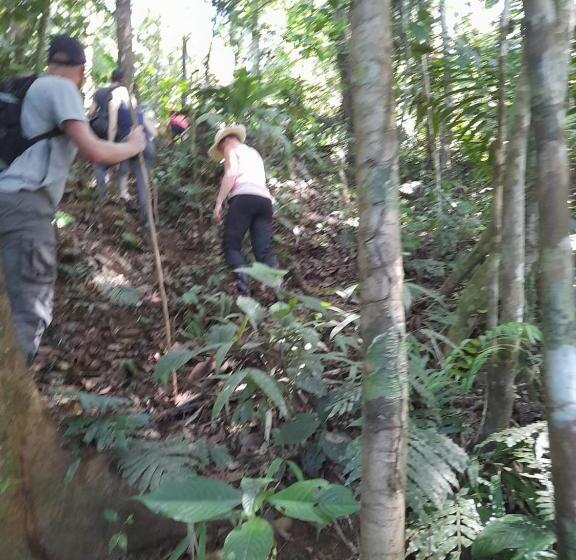 חדר סטנדרט, Bribri Eco Lodge En Yorkin Se Yamipa