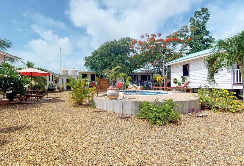 شقة غرفة واحدة, Latitude Adjustment Gold Standard Certified