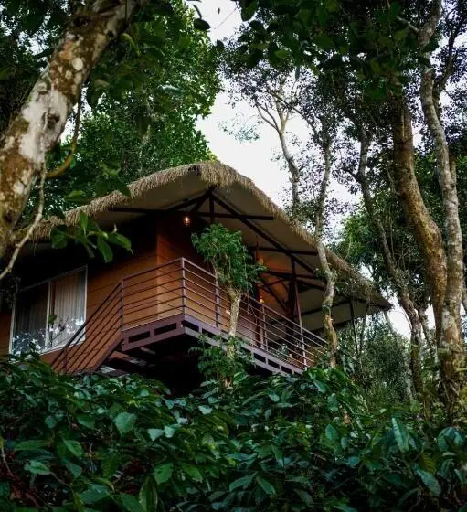 バルコニー付きスタンダードルーム, Coffee Cradle Wayanad Luxuorios Private Tree House   Inside 2 Acre Coffee Plantation Wetlands Wayana