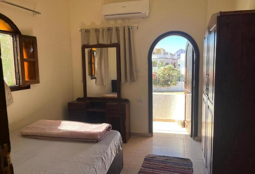 آپارتمان 1 خوابه, Malaz Motel