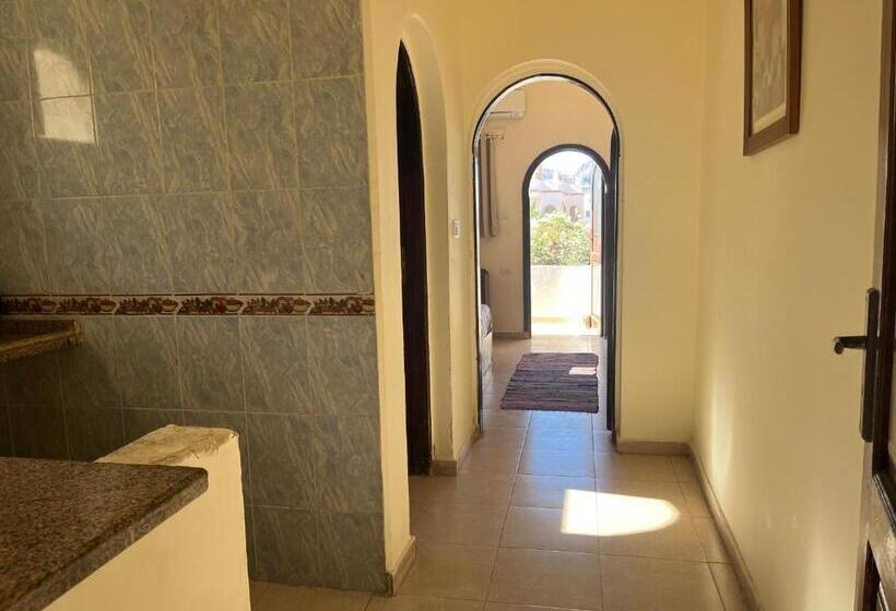 آپارتمان 1 خوابه, Malaz Motel