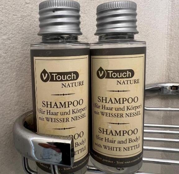 Standart Oda, Felmis Self Check In