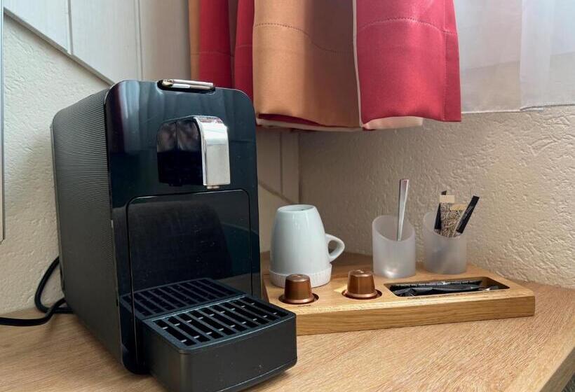 Standard Enkeltværelse, Felmis Self Check In