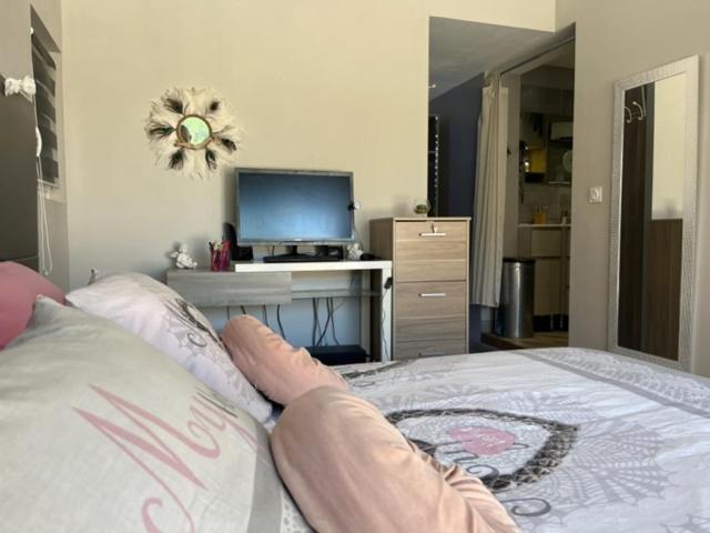 豪华房间, Chambre Meublée De Luxe