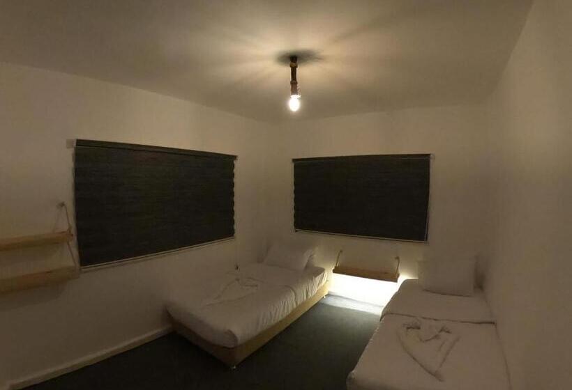 اتاق استاندارد, The Cousins