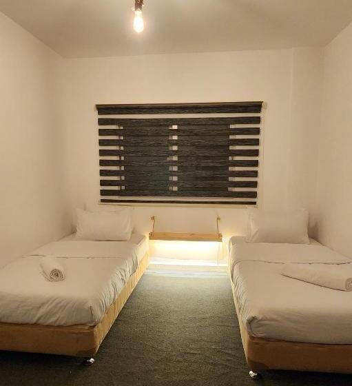 اتاق استاندارد, The Cousins