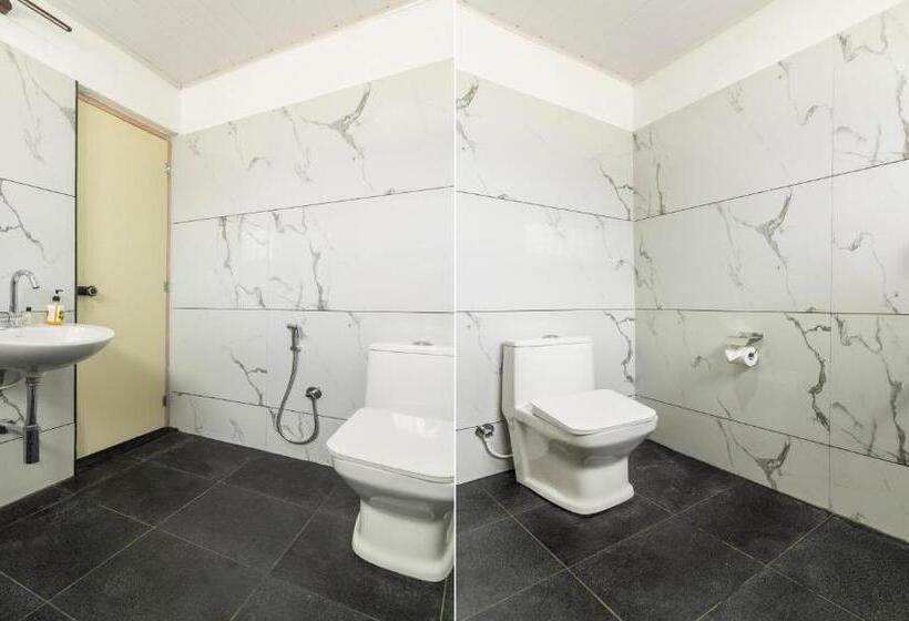 Quarto Estandar, Treebo The Rove