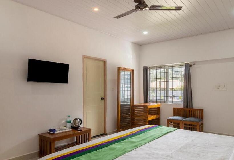 Quarto Estandar, Treebo The Rove