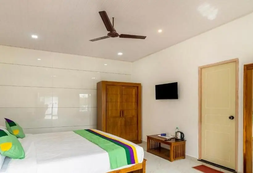 Chambre Standard, Treebo The Rove