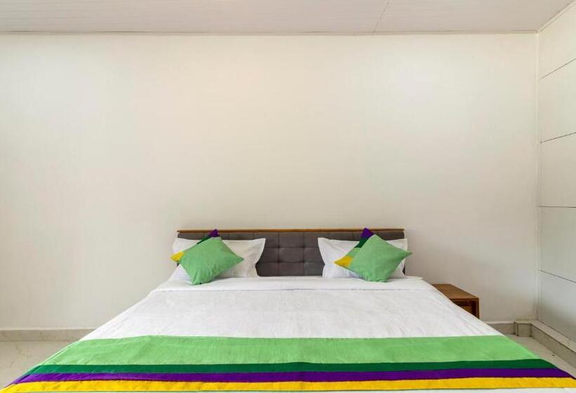 Quarto Estandar, Treebo The Rove