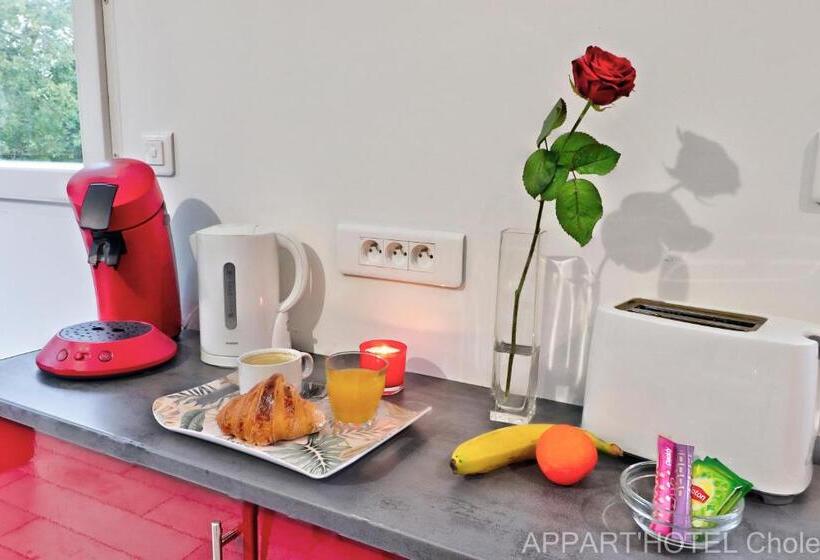 Апартаменты Deluxe 1 Спальня, Appart Hotel Cholet Carteron