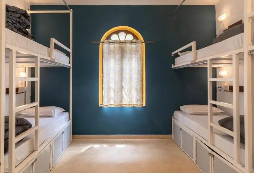 スーペリアーシェアルームのワンベッド, Madpackers Goa Anjuna Bunks, Rooms, Community