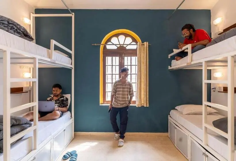 スーペリアーシェアルームのワンベッド, Madpackers Goa Anjuna Bunks, Rooms, Community