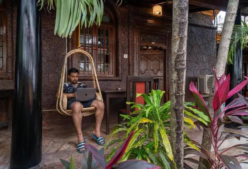 スーペリアーシェアルームのワンベッド, Madpackers Goa Anjuna Bunks, Rooms, Community