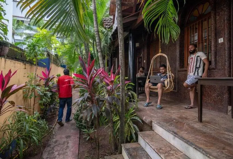 スーペリアーシェアルームのワンベッド, Madpackers Goa Anjuna Bunks, Rooms, Community