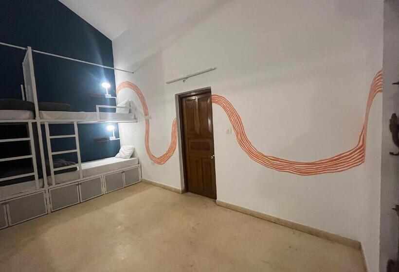 Cama em Quarto Superior Compartilhado, Madpackers Goa Anjuna   Bunks, Rooms, Community