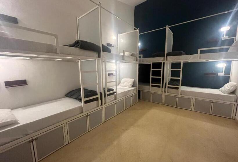 Cama em Quarto Superior Compartilhado, Madpackers Goa Anjuna   Bunks, Rooms, Community