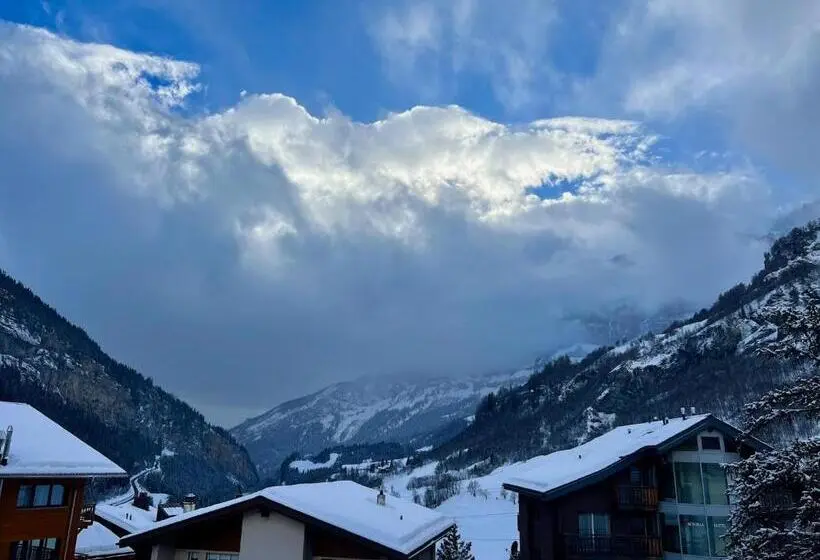 Superior-studio, Matterhof