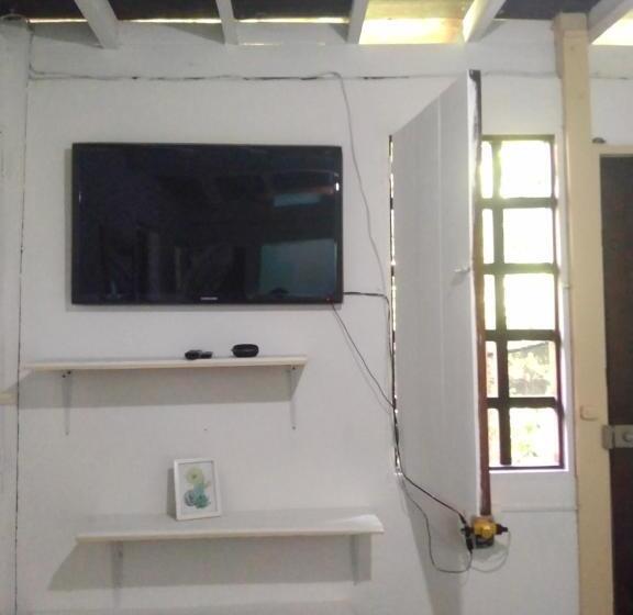 이코노미 룸, Bluebayou.capurgana