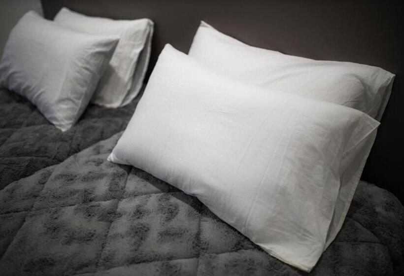 استودیوی استاندارد, The Central Guesthouse