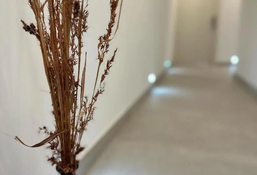اتاق اکونومی, The Central Guesthouse