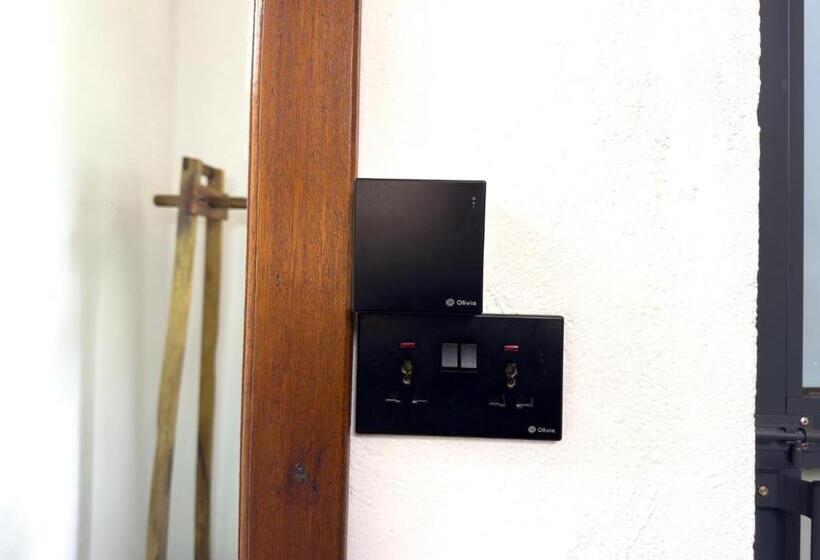 标准间, The New Njiro Legacy