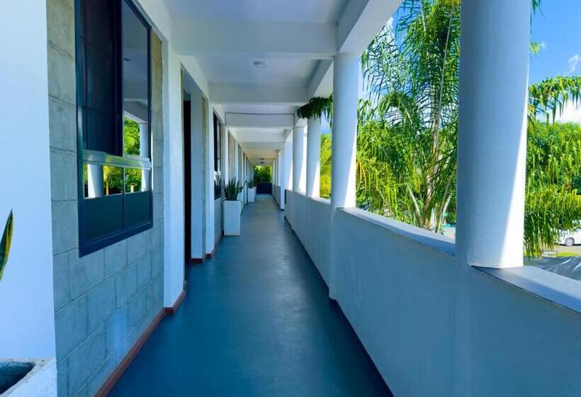 标准间, The New Njiro Legacy