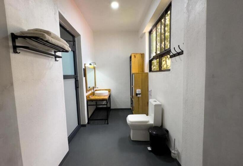 标准间, The New Njiro Legacy