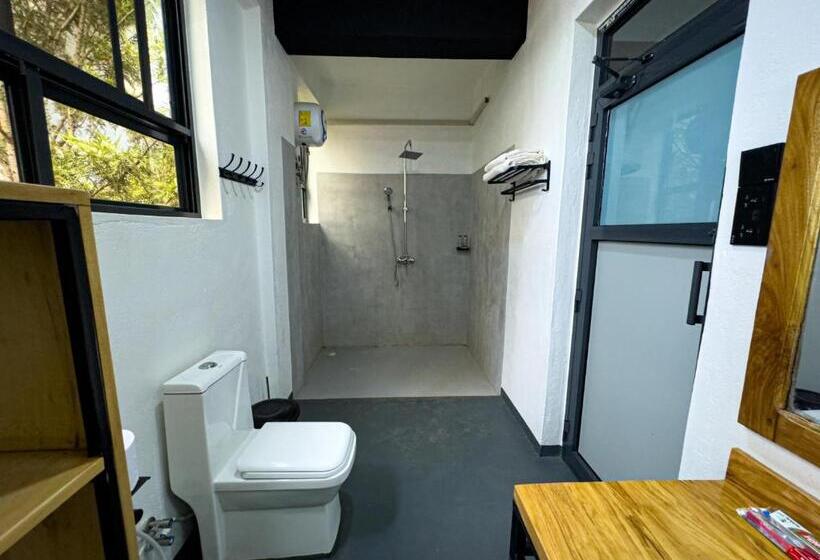 带大床的标准间, The New Njiro Legacy