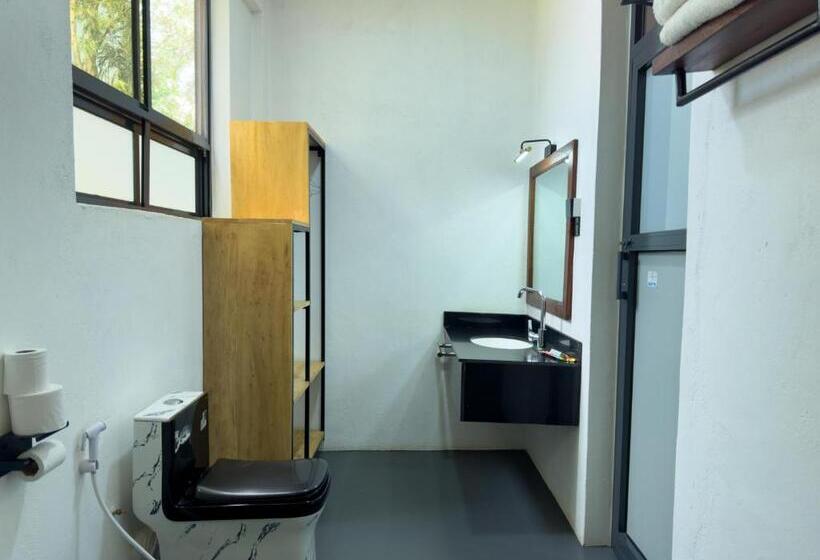 带大床的标准间, The New Njiro Legacy