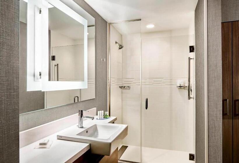 キングサイズベッドのスイートルーム, Springhill Suites By Marriott Fayetteville I 95