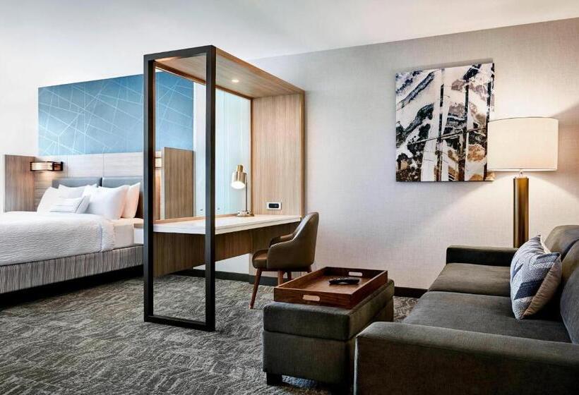キングサイズベッドのスイートルーム, Springhill Suites By Marriott Fayetteville I 95