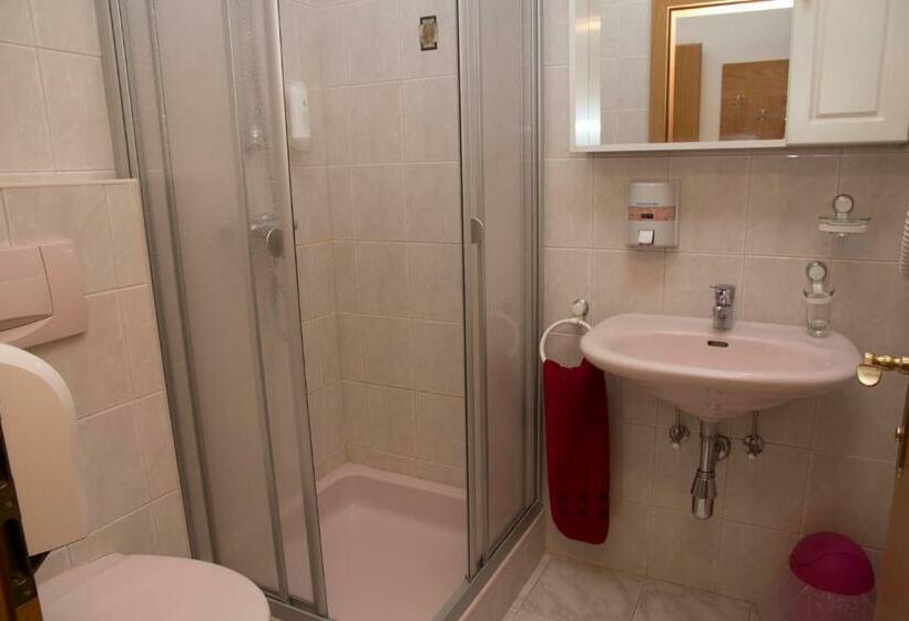 バルコニー付きシングルスタンダードルーム, Hubertushof