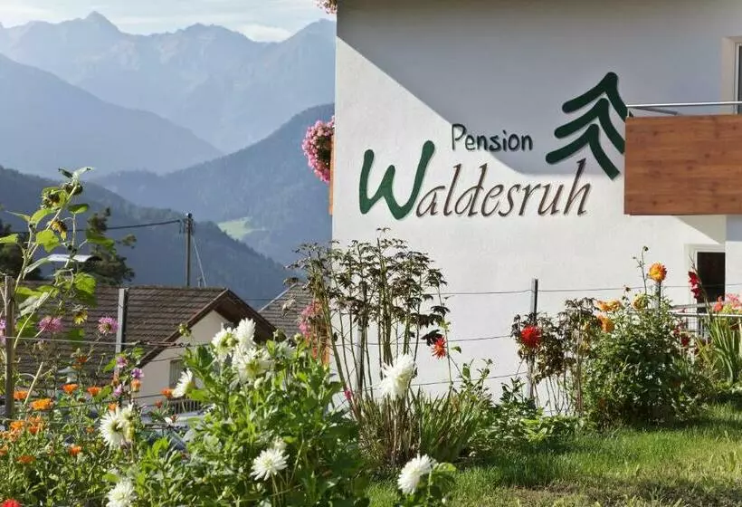 マウンテンビュースタンダードルーム, Pension Waldesruh