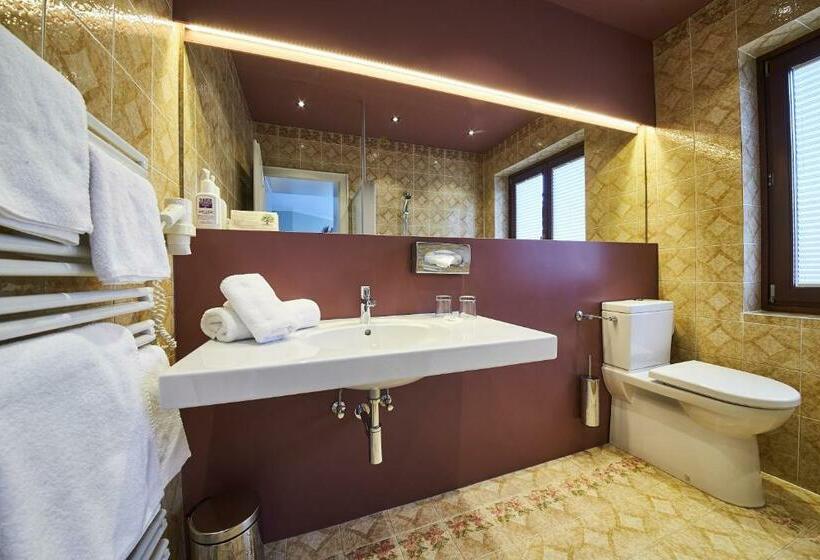 חדר סטנדרט נוף להרים, Thomsn Central Hotel & Appartements