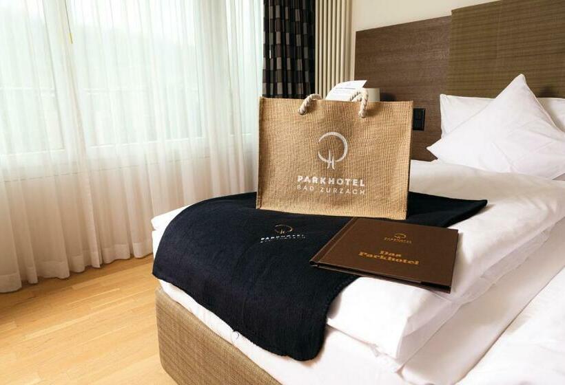 Номер Deluxe с Террасой, Dorint Parkhotel Bad Zurzach