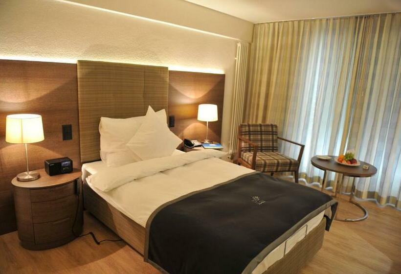 חדר סטנדרט יחיד, Dorint Parkhotel Bad Zurzach