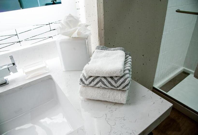 חדר סטנדרט, מיטת קינג, מותאם לאדם עם מוגבלויות, Cambria Hotel Austin Downtown