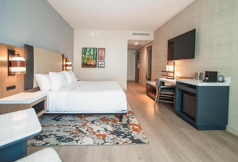 חדר סטנדרט, מיטת קינג, מותאם לאדם עם מוגבלויות, Cambria Hotel Austin Downtown