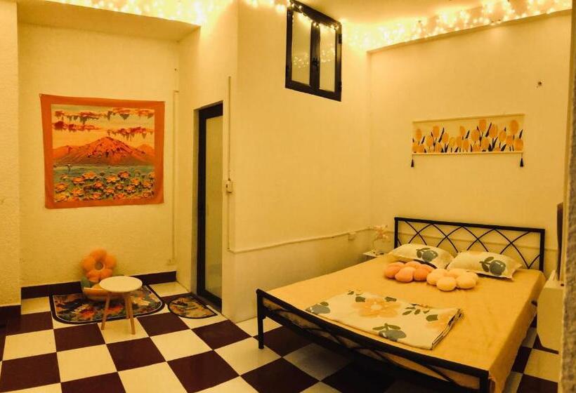 اتاق استاندارد, Dnut S House