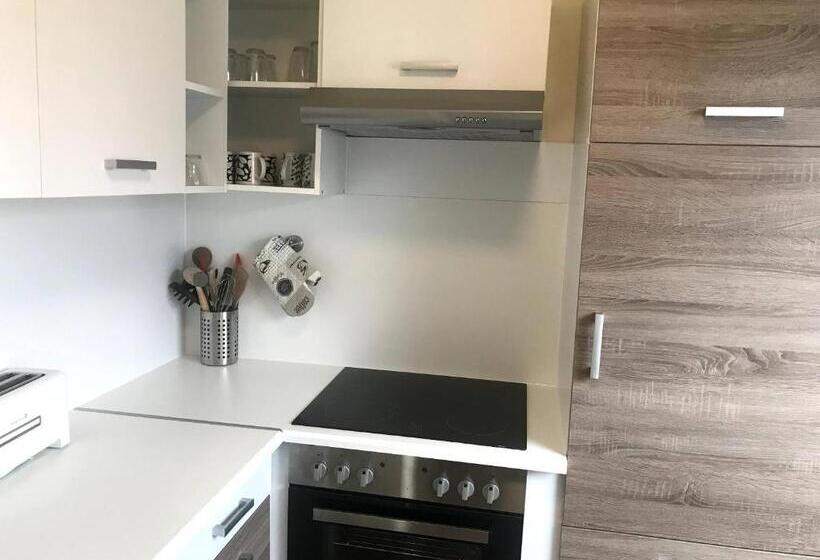 침실 1개 아파트, Appartment Hotel Garni Elisabeth