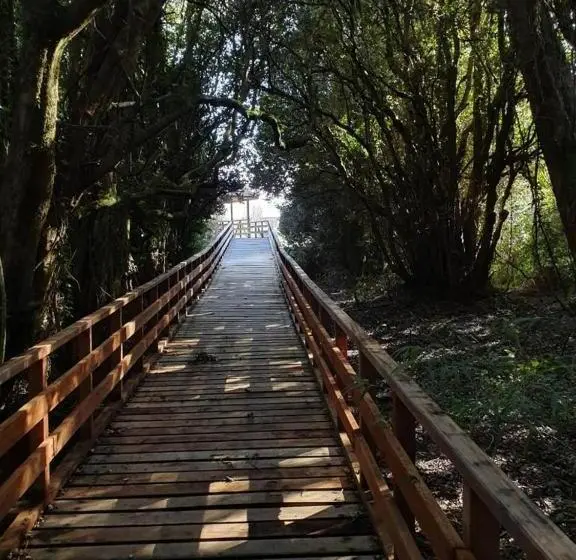 Huoneisto 1 Makuuhuone Parveke, Chiloe Domos